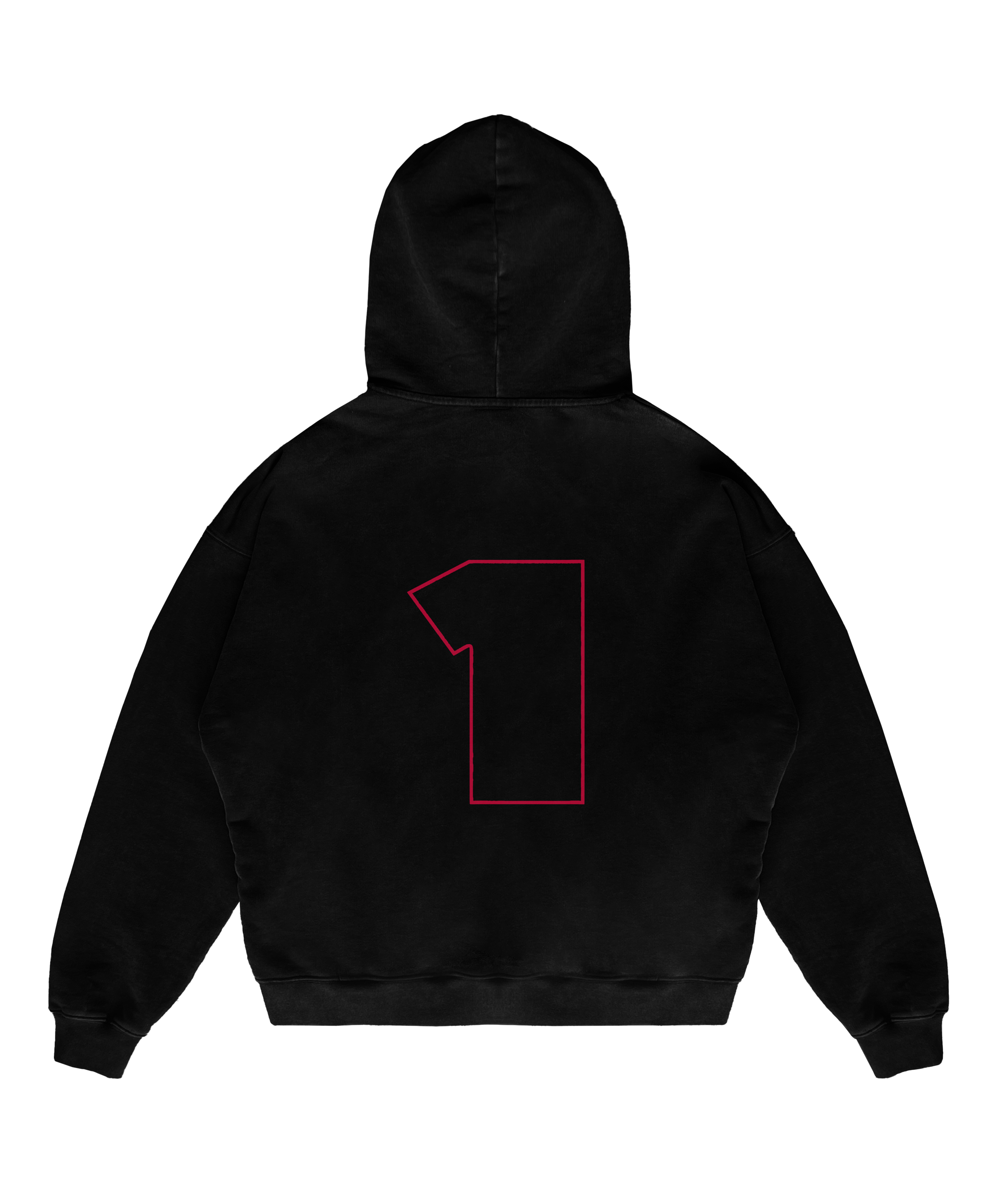 MAX 1 HOODIE