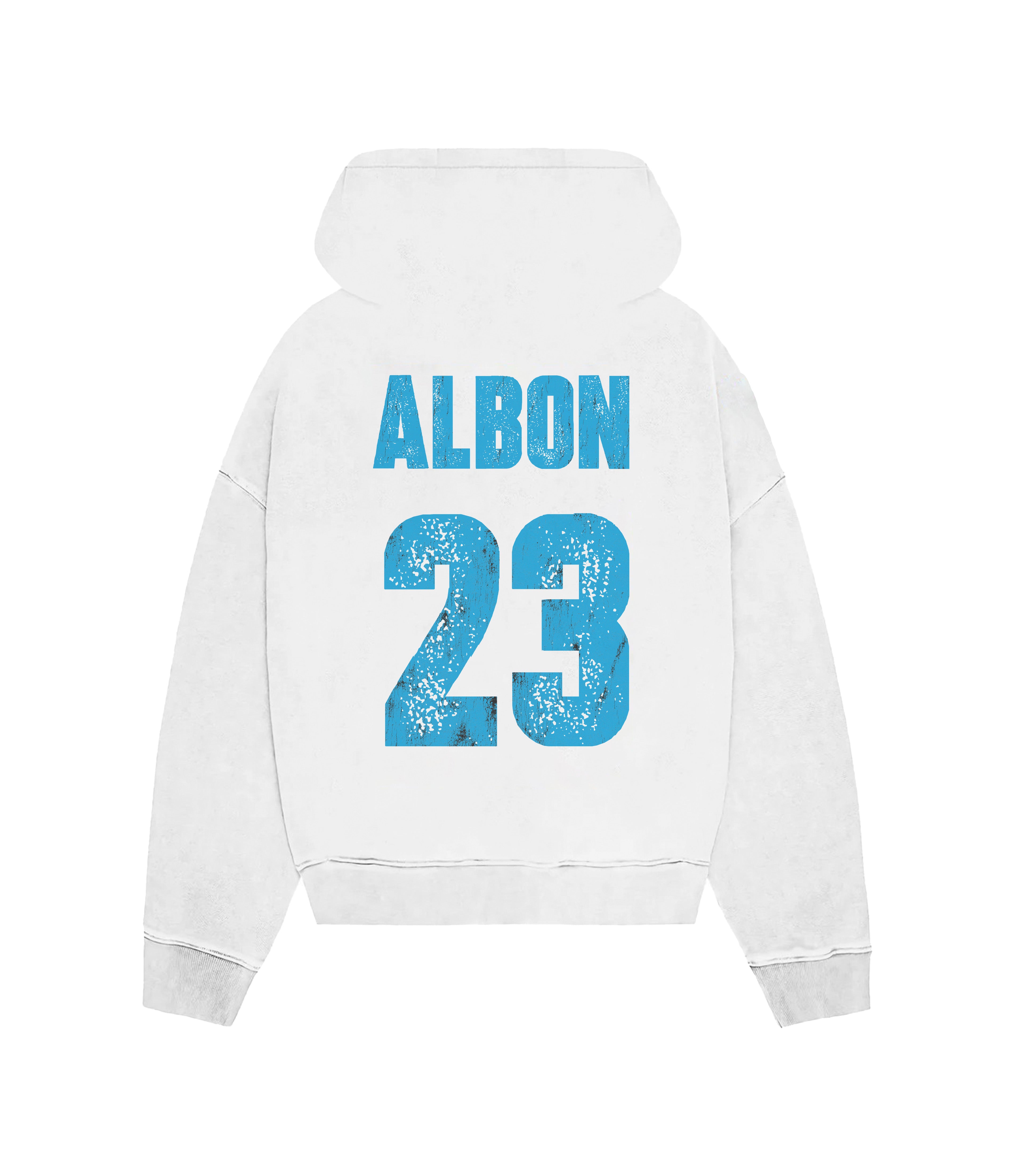 ALBON WILLIAMS ZIP HOODIE