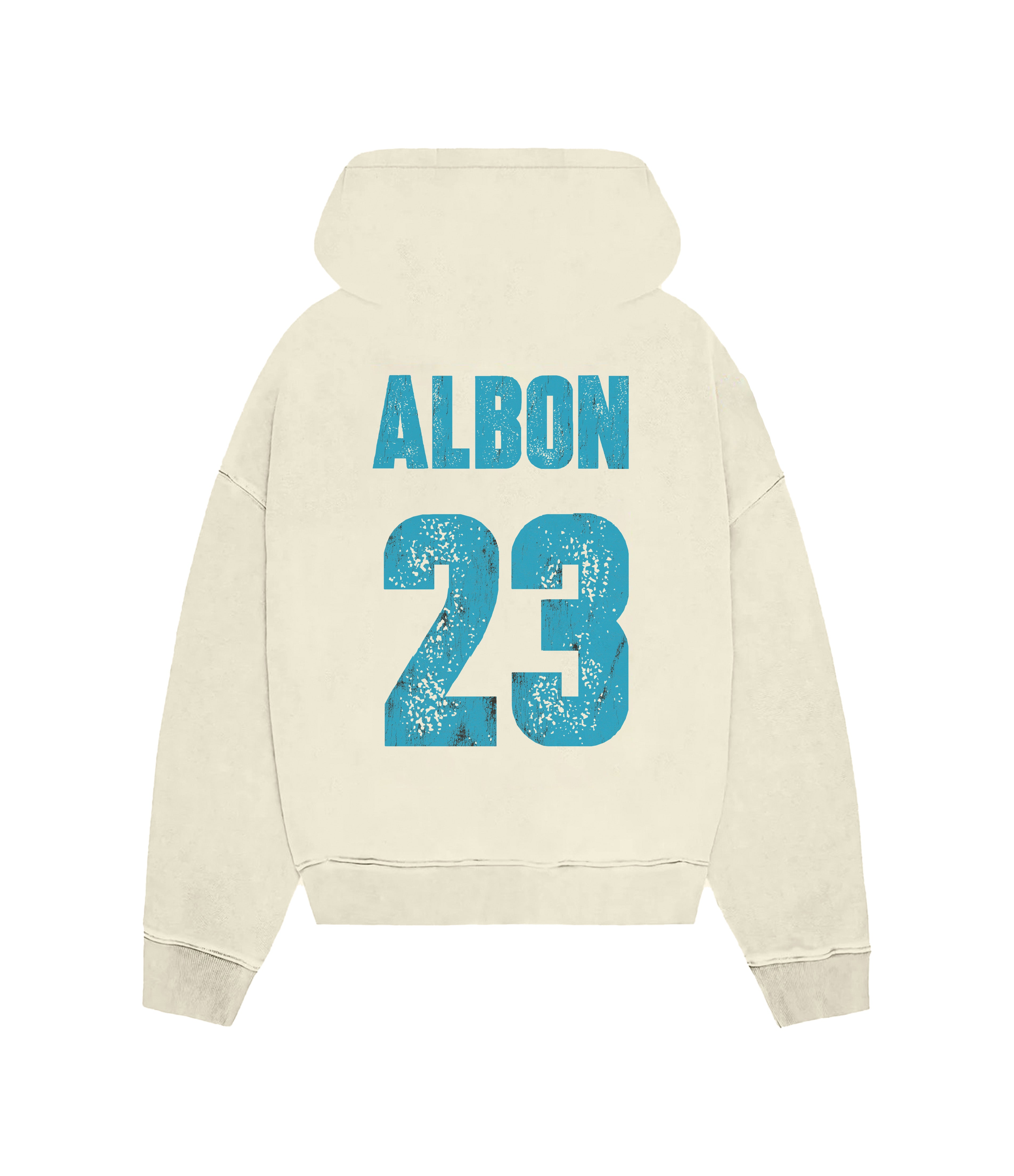 ALBON WILLIAMS ZIP HOODIE