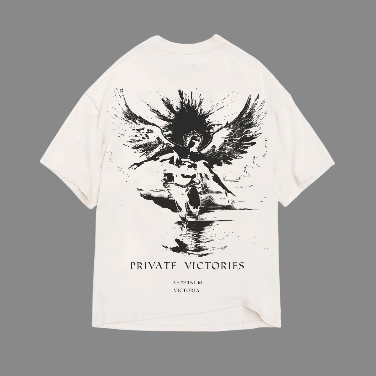 PRIVATE VICTORIES ICARUS TEE