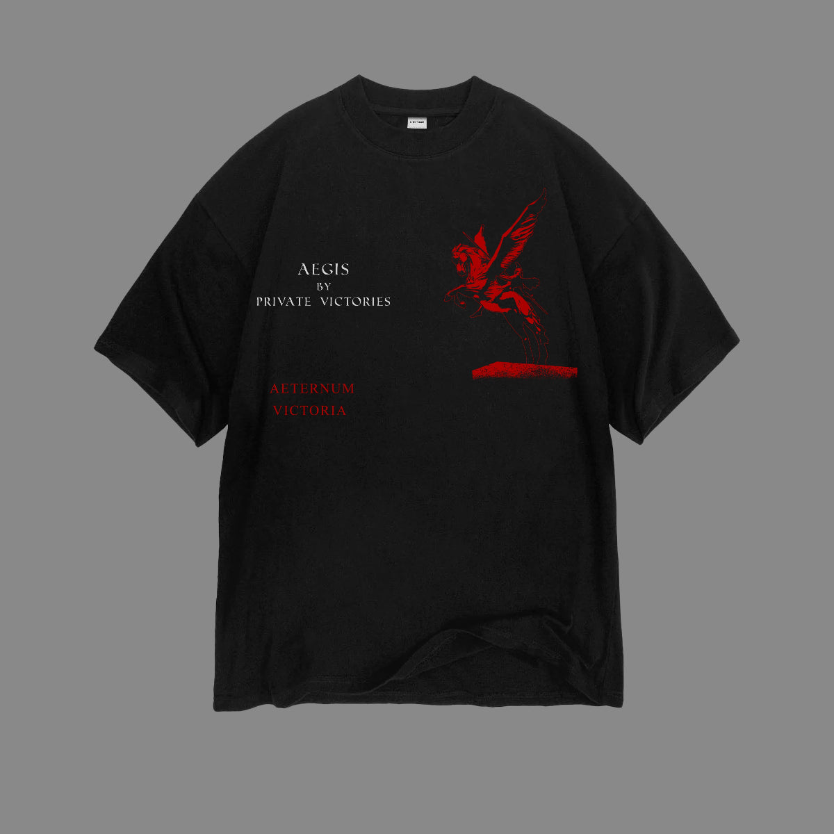 PRIVATE VICTORIES PEGASUS TEE