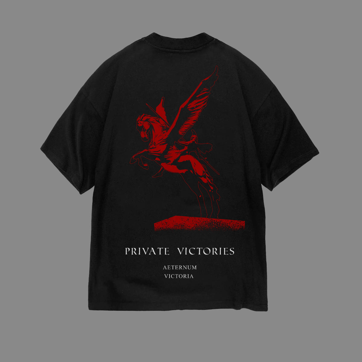 PRIVATE VICTORIES PEGASUS TEE