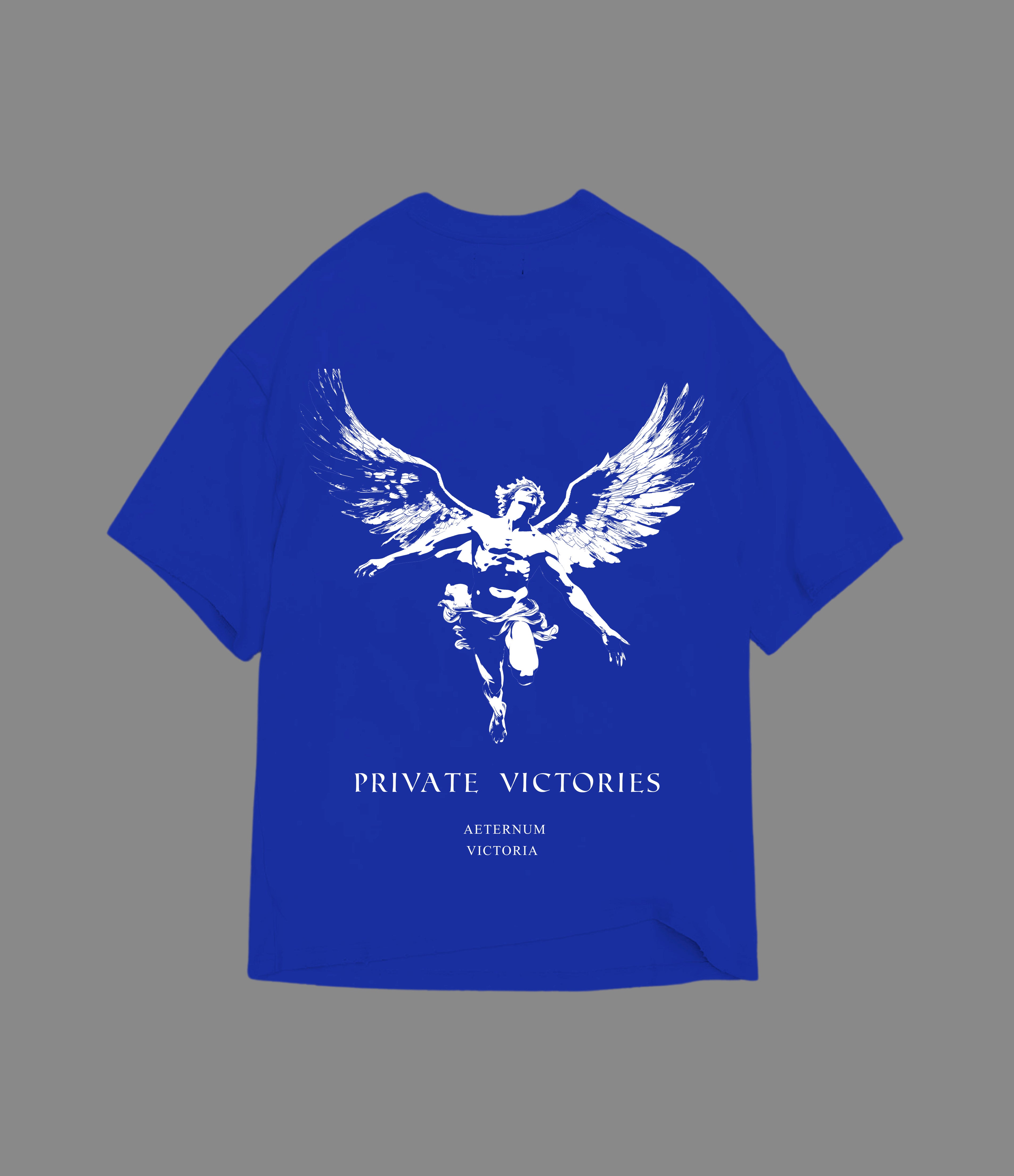 PRIVATE VICTORIES ICARUS TEE