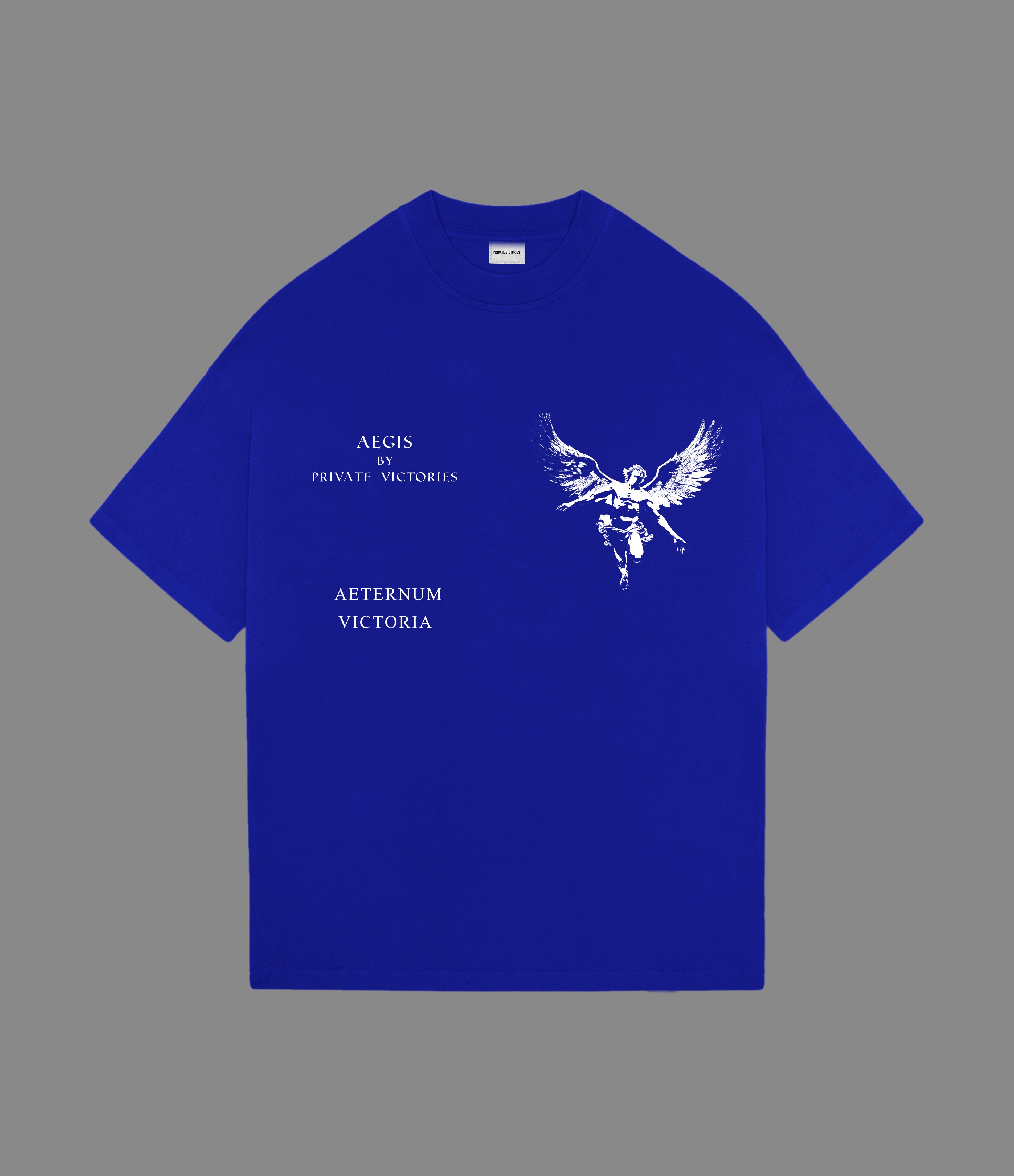 PRIVATE VICTORIES ICARUS TEE